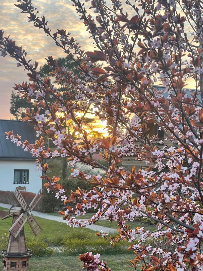 Domki Jasna Polana Jastrzebia Gora Bagian luar foto